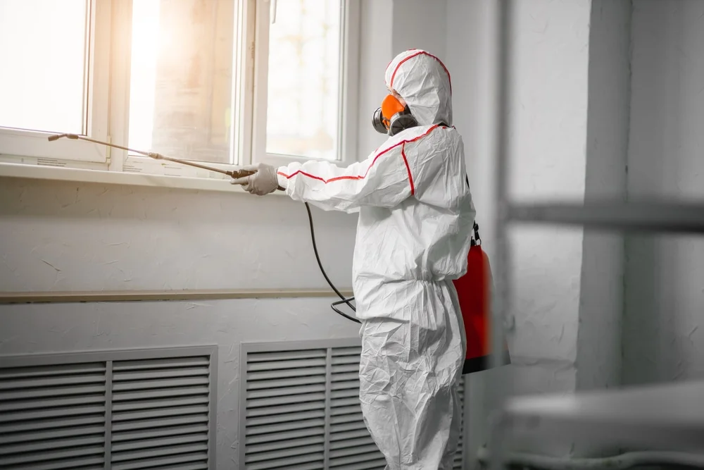 Professional mold remediation services in North Conway, NH